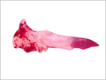 Tenderloin