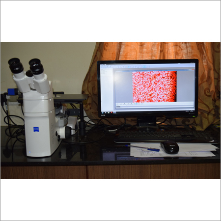 ध्रुवीयकृत प्रकाश सूक्ष्मदर्शी