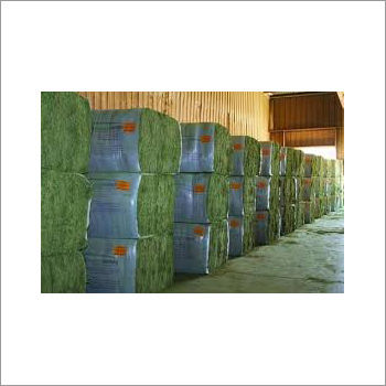 Alfalfa Hay Bales