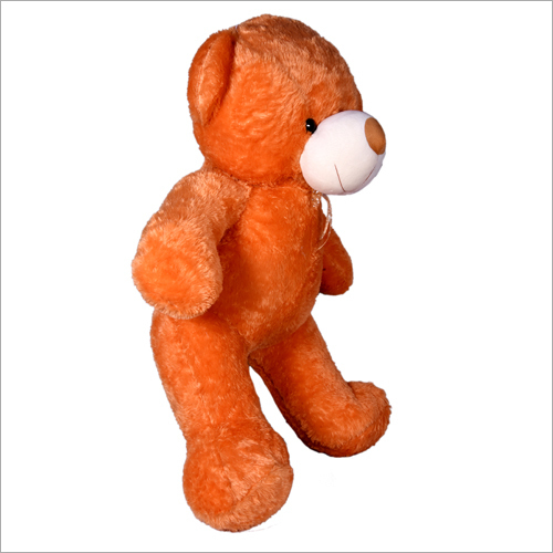 Am Stuffed Teddy Bear