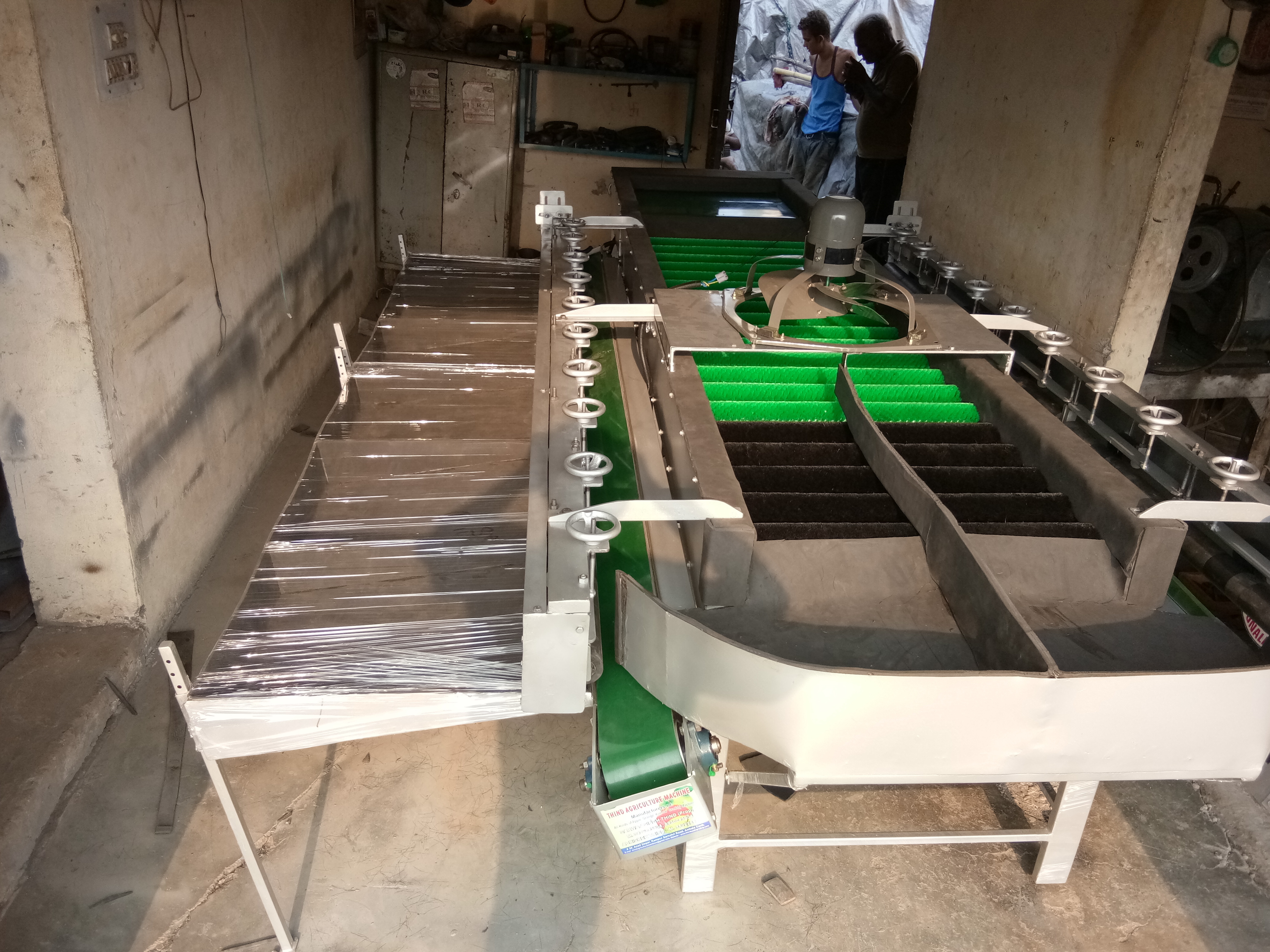 Silver Kinnow Grading Machine