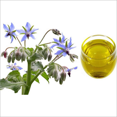 Borage Oil Age Group: Adults