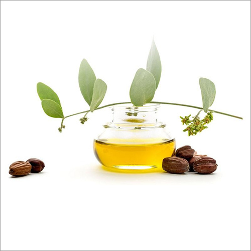 Jojoba Golden Oil Age Group: Adults