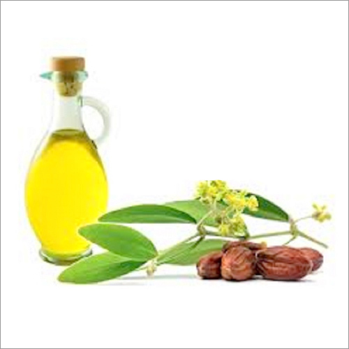 Jojoba Golden Oil Age Group: Adults