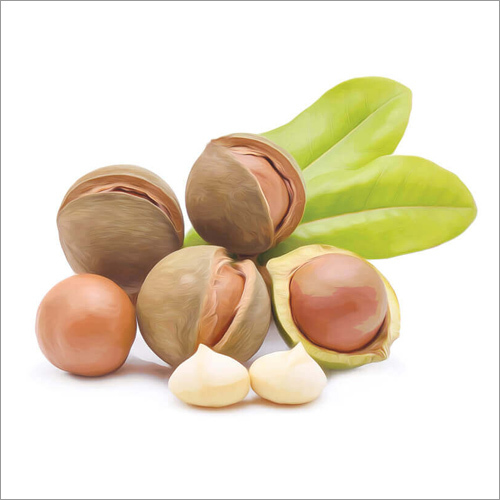 Macadamia Oil Age Group: Adults