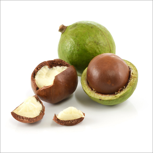 Macadamia Oil Age Group: Adults