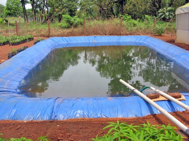 Pond Liner Design Type: Customized