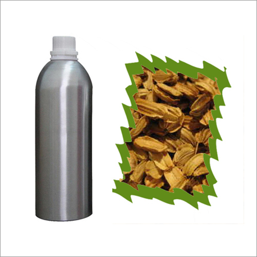 Aromatics Angelica Oil