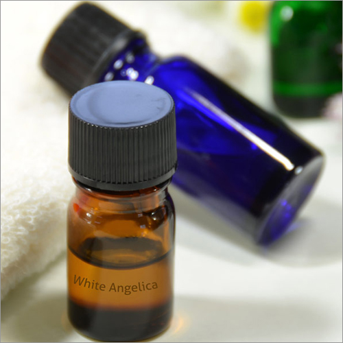 Aromatics Angelica Oil