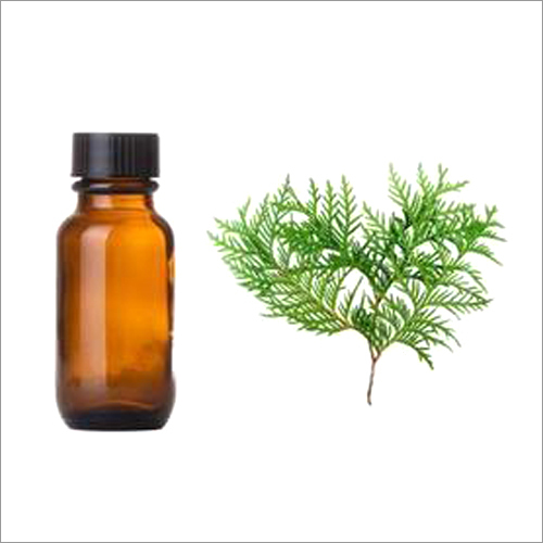 Elemi Oil Gender: Female