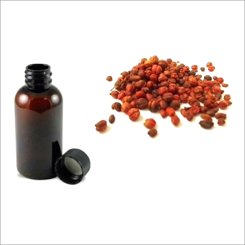 Malkangani Oil - 98% Pure Cold Pressed Liquid | Enhances Memory, Alleviates Inflammation, Supports Digestive Health