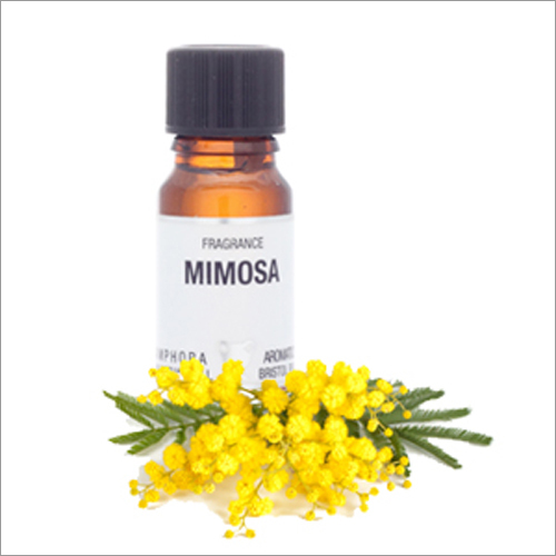 Mimosa Oil - 97% Pure, Aromatic Liquid With Sweet Floral And Woody Undertones | Nourishing For All Skin Types, Ideal For Aromatherapy, And Perfumery