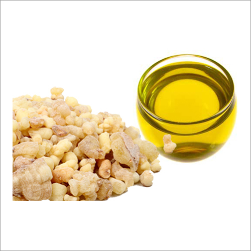 Mimosa Oil - 97% Pure, Aromatic Liquid With Sweet Floral And Woody Undertones | Nourishing For All Skin Types, Ideal For Aromatherapy, And Perfumery