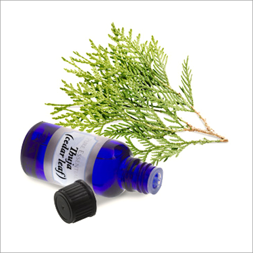 Thuja Oil Age Group: Adults