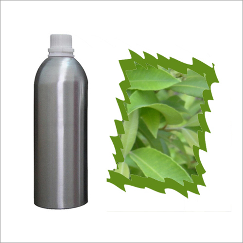 Thuja Oil Age Group: Adults