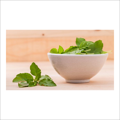 Tulsi Oil Age Group: Adults