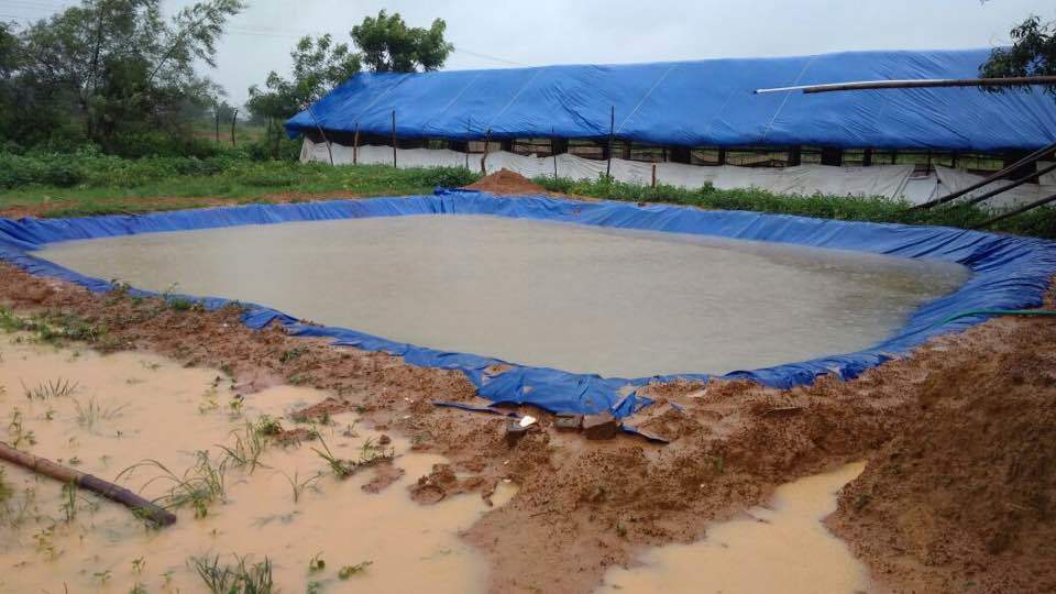 Pond Liner Design Type: Customized