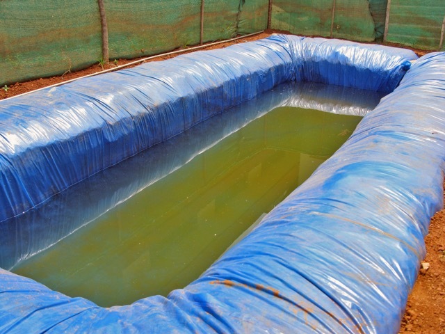 Pond Liner Design Type: Customized
