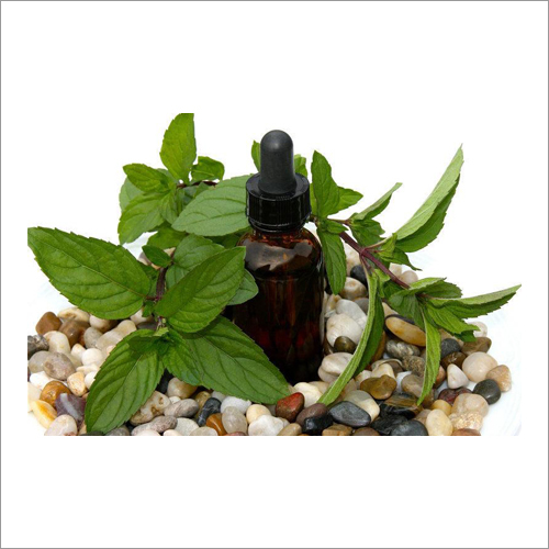 Black Peppermint Oil Age Group: Adults