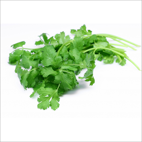 Coriander Oil Age Group: Adults