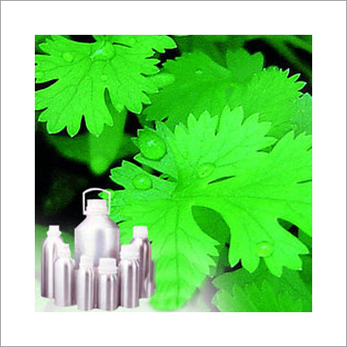 Coriander Oil Age Group: Adults