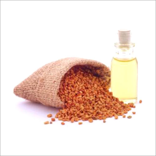 Fenugreek Oil Ingredients: Herbal Extract