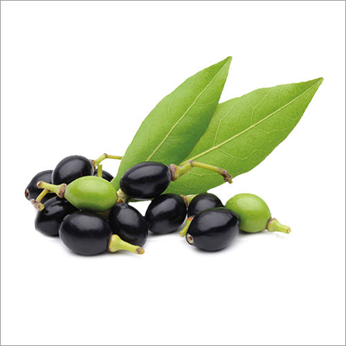 Laurel Berry Oil Purity: 98%