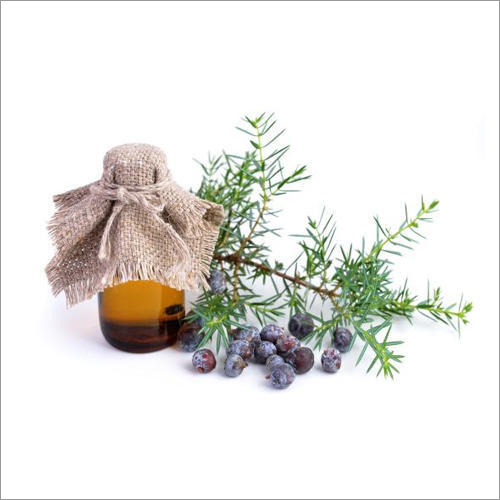Laurel Berry Oil Purity: 98%