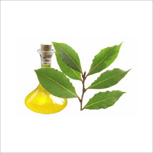 Bay Leaf Oil Age Group: Adults
