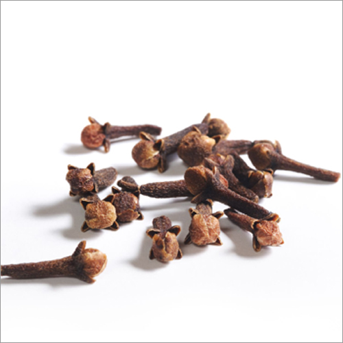 Clove Oil Age Group: Adults
