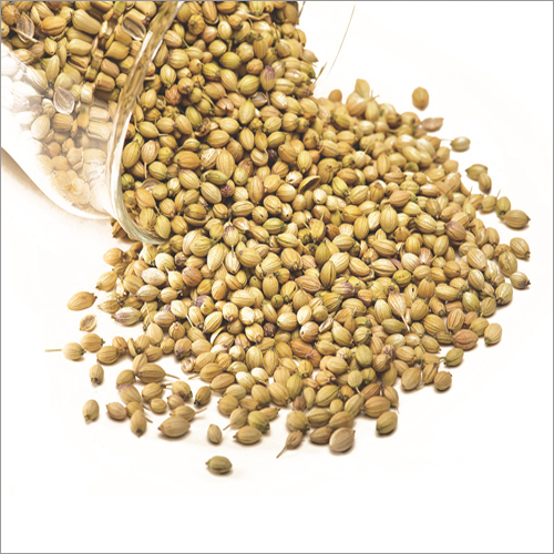 Coriander Oil - 99% Purity Liquid Extract | Derived From Coriander Seeds, Age Group: Adults, 3-5 Years Shelf Life, Aromatherapy & Skin Care Benefits