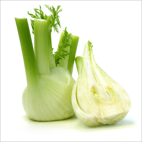 Fennel Oil Age Group: Adults