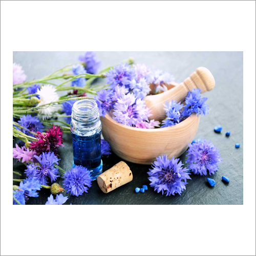 Hyssop Oil Age Group: Adults