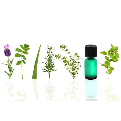 Thyme Oil Age Group: Adults