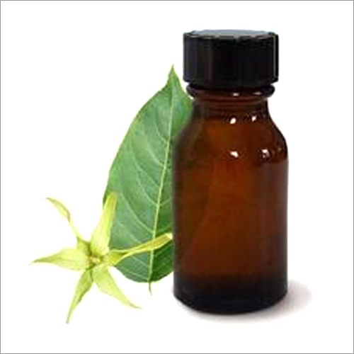 Cananga Oil - 98% Pure Essential Oil | Floral Aroma, Therapeutic For Stress Relief, Skin Healing, Aromatherapy Use, 2-year Shelf Life, Room Temperature Storage