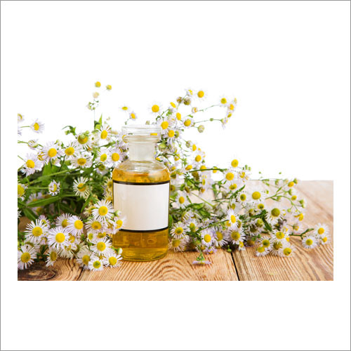 Chamomile Oil Purity: 98%