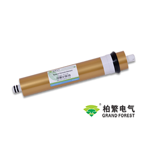 ग्रैंड फॉरेस्ट