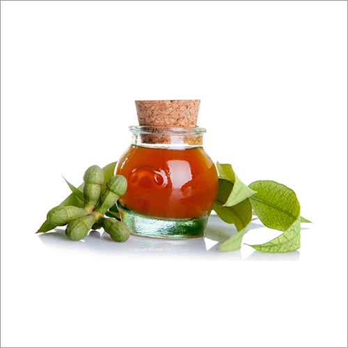 Eucalyptus Oil - 98% Pure Liquid | Naturally Derived Antiseptic, Antibacterial, And Decongestant With Enchanting Fragrance And Versatile Health Benefits
