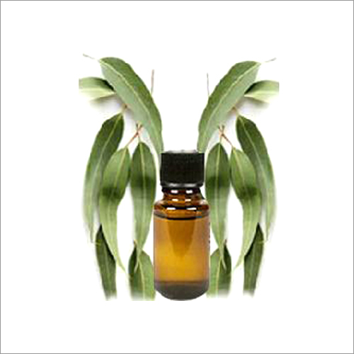 Eucalyptus Oil - 98% Pure Liquid | Naturally Derived Antiseptic, Antibacterial, And Decongestant With Enchanting Fragrance And Versatile Health Benefits