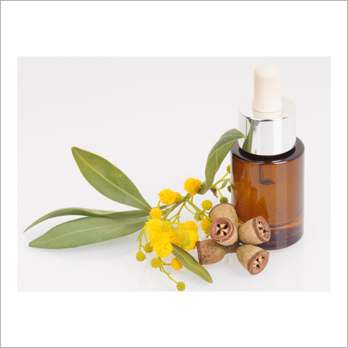 Eucalyptus Oil - 98% Pure Liquid | Naturally Derived Antiseptic, Antibacterial, And Decongestant With Enchanting Fragrance And Versatile Health Benefits