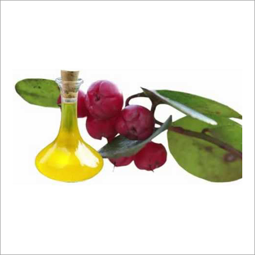 Winter Green Oil Age Group: Adults