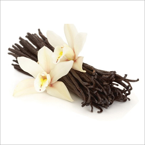 Vanilla Oil - 100% Pure Natural Essential Oil | Antibacterial, Antioxidant, Skin & Hair Care Benefits, Stress Relief
