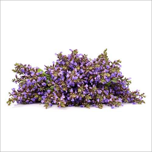 क्लेरी सेज ऑयल