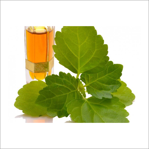 Patchouli Oil Age Group: Adults