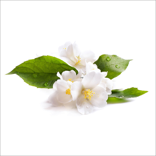 Chul Mogra Oil Age Group: Adults
