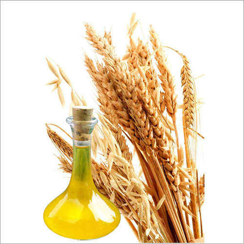 Wheat Germ Oil - 98% Pure Herbal Extract, Liquid, Rich In Antioxidants For Anti-aging And Cardiovascular Health