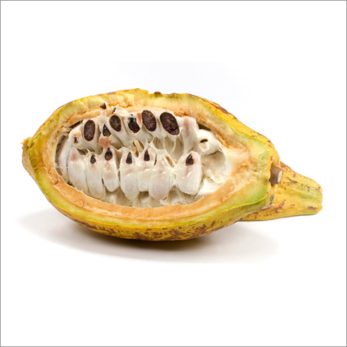 Cocoa Butter Age Group: Adults