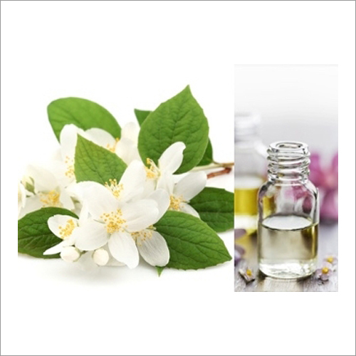 White Jasmine Oil