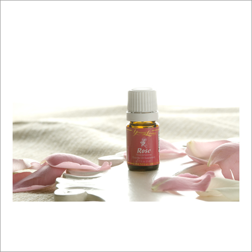 Rose Oil - 98% Pure Floral Essence | Rejuvenates Skin, Balances Female Hormones, Soothes Inflammation, Supports Muscle Relaxation, Aroma Therapy