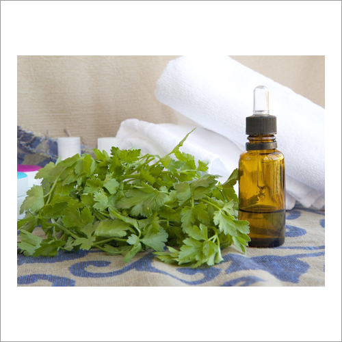 Parsley Hydrosol Age Group: Adults